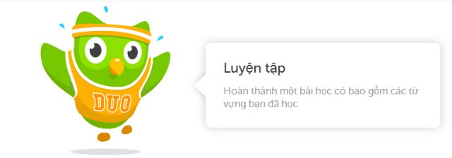 duolingo