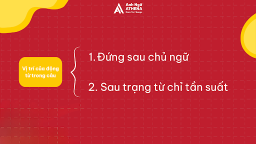 Vị tr&iacute; của động từ trong c&acirc;u