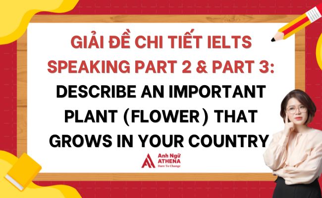 Giải đề chi tiết IELTS Speaking Part 2 & Part 3: Describe an important plant (flower) that grows in your country